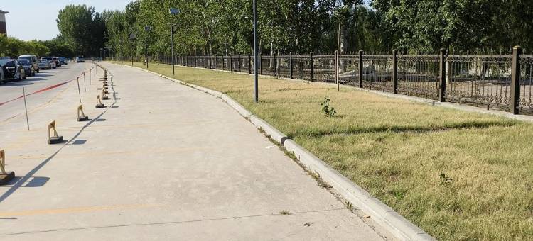 凤姐家庭民宿(曹园路分店)图片