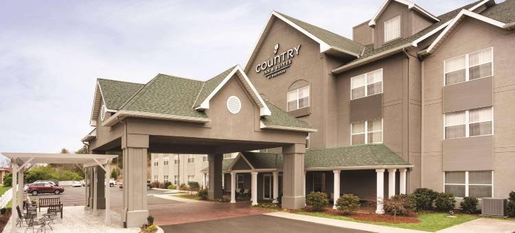 查塔努加了望山丽怡酒店(Country Inn & Suites by Radisson, Chattanooga-Lookout Mountain)图片