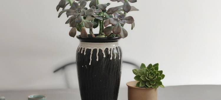 宜宾六月间·庭轩赏景·逸趣温馨美宿(李庄古镇景区店)图片