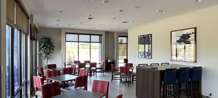 杰克逊开普吉拉多舒适套房酒店(Comfort Suites Jackson-Cape Girardeau)图片