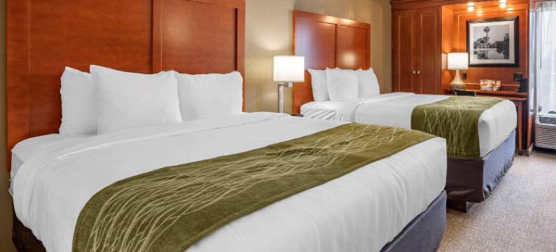 牛津舒适酒店(Comfort Inn Oxford - University Area)图片