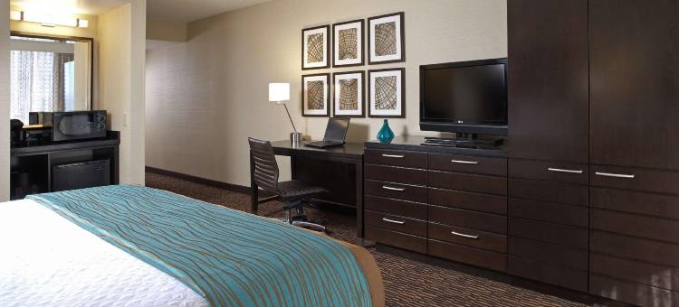 洛杉矶国际机场北安泊套房酒店(Embassy Suites by Hilton Los Angeles International Airport North)图片