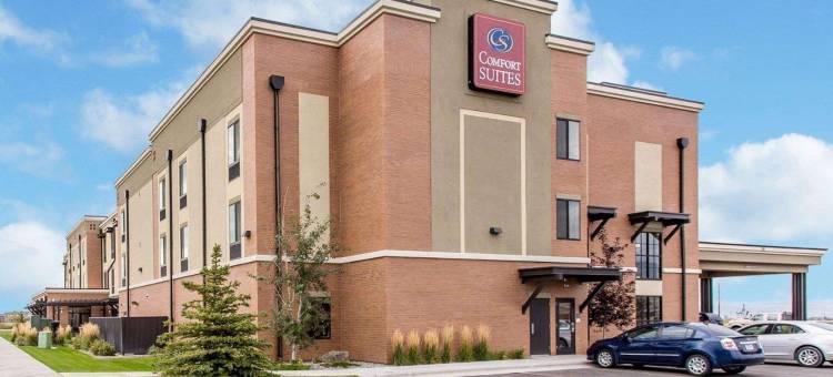 机场-大学舒适套房酒店(Comfort Suites Airport-University)图片