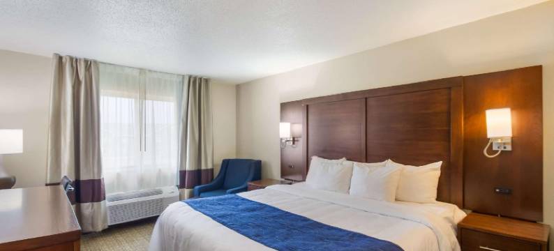 品质酒店及套房(Quality Inn & Suites)图片