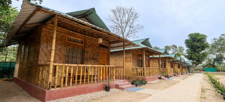 习性自然狩猎犀牛(Habitas Rhino by Nature Hunt)图片