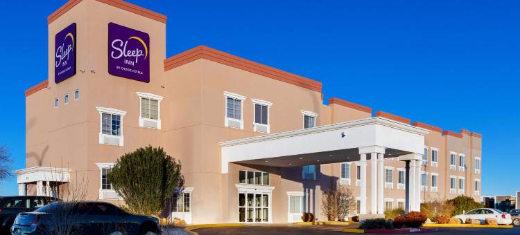 大学舒眠酒店(Sleep Inn University)图片