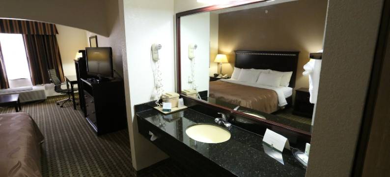 伯利森-沃斯堡品质酒店(Quality Suites, Ft Worth Burleson)图片