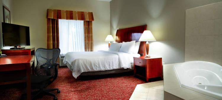 埃尔克哈特希尔顿花园酒店(Hilton Garden Inn Elkhart)图片