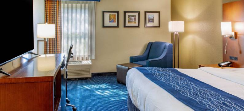 皮克顿舒适酒店靠近展览场(Comfort Inn Piketon Near Fairgrounds)图片