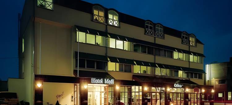 美帝酒店(Hotel Medi)图片