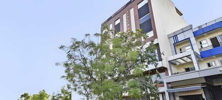 沙坤宫殿酒店(Hotel Shakun Palace)图片