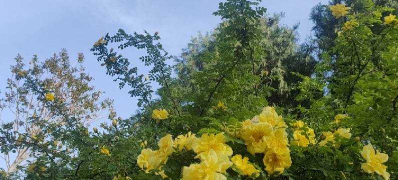 房东乐奇公寓(新华大街分店)图片