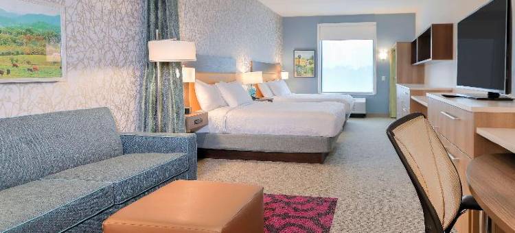 希尔顿阿尔科亚诺克斯维尔机场惠庭套房酒店(Home2 Suites by Hilton Alcoa Knoxville Airport)图片
