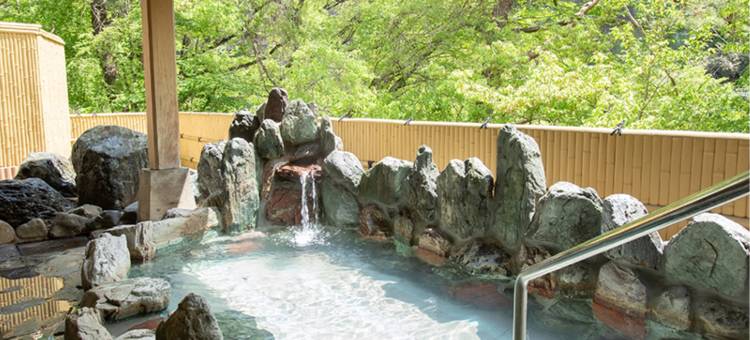 伊藤健康生活三乐庄酒店(Itoen Hotel Oze Oigami Sanrakuso)图片