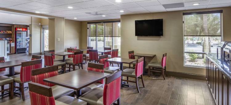 舒适套房酒店-大学(Comfort Suites at the University)图片