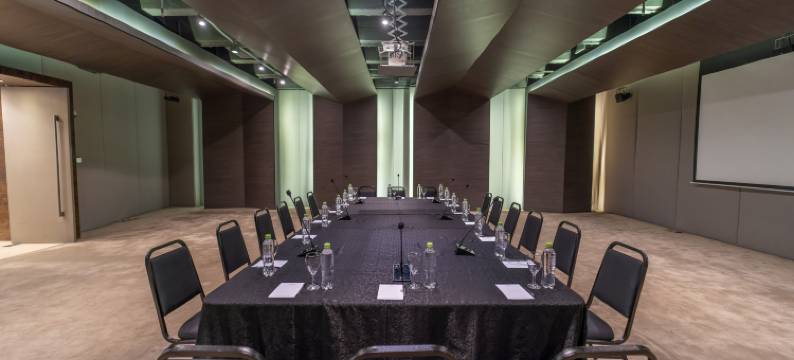 Crowne Plaza 亚松森(Crowne Plaza ASUNCION by IHG)图片