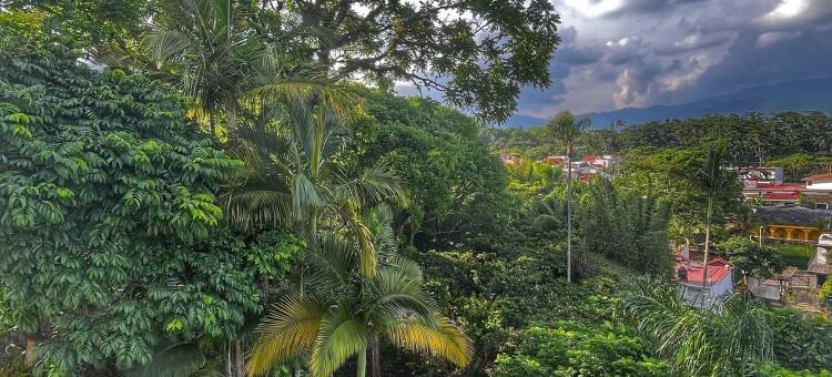 科多巴舒适酒店(Comfort Inn Córdoba)图片