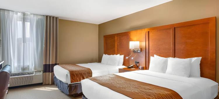 舒适酒店-北区/巴黎(Comfort Inn North-Polaris)图片