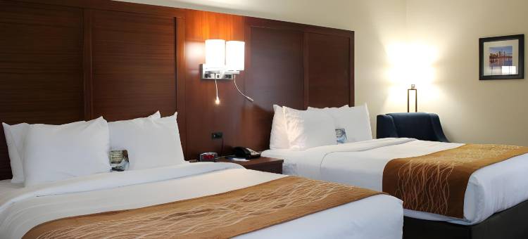 舒适套房酒店(Comfort Inn & Suites Fultondale Gardendale I-65)图片