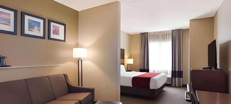 北莫比尔舒适套房酒店(Comfort Suites North Mobile)图片