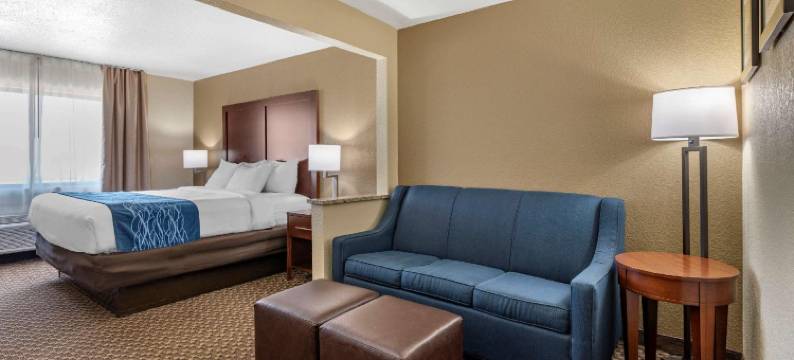 科科莫赛道附近舒适酒店(Comfort Inn Near Kokomo Speedway)图片