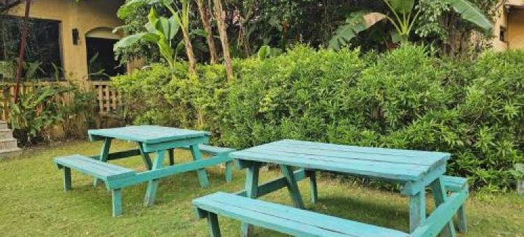 欢庆万维拉斯酒店(The Celebration Van Vilas)图片