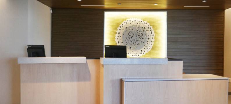 墨尔本维埃拉万枫套房酒店(Fairfield Inn & Suites Melbourne Viera Town Center)图片