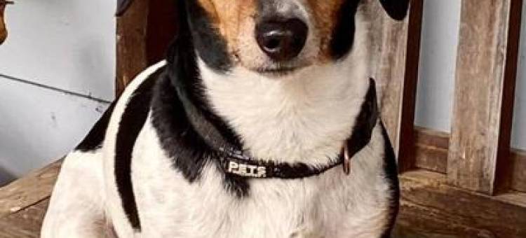 The Lancefield cottage - relax, revive and renew图片