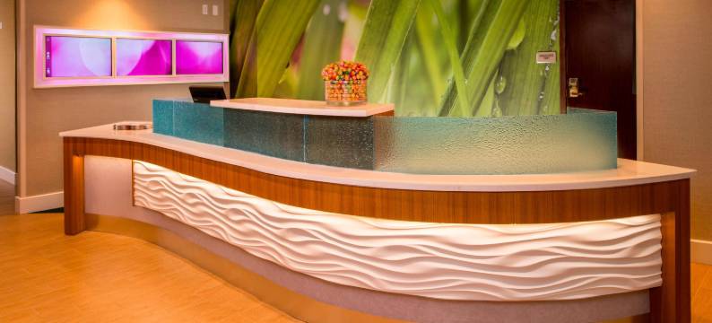 盖瑟斯堡SpringHill Suites酒店(SpringHill Suites Gaithersburg)图片