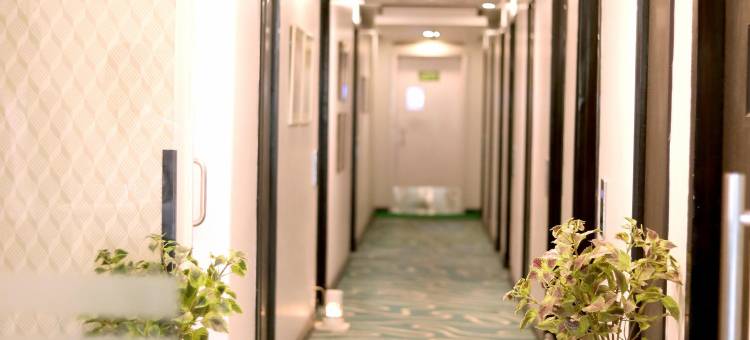 德里萨诺瓦波迪克纳莱纳酒店(Sarovar Portico Naraina Delhi)图片