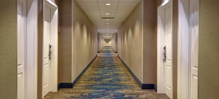 休斯顿乔治布希洲际机场8号环城公路Homewood Suites by Hilton(Homewood Suites by Hilton Houston IAH Airport Beltway 8)图片