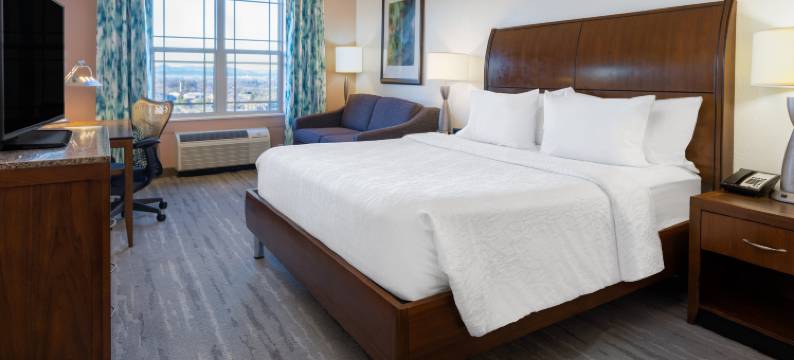 罗阿诺克希尔顿花园酒店(HIlton Garden Inn Roanoke)图片