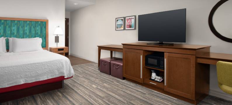 奥兰治堡希尔顿欢朋套房酒店(Hampton Inn & Suites Orangeburg)图片