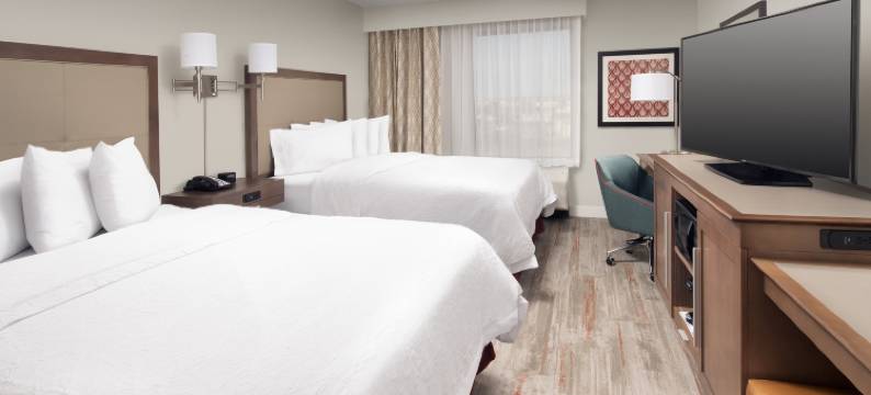 圣安东尼奥拉克兰空军基地海洋世界欢朋套房酒店(Hampton Inn & Suites by Hilton San Antonio Lackland AFB SeaWorld)图片