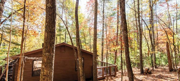 徒步/垂钓、托科阿河；热水浴缸、宠物友好山间木屋(Mountain Cabin Near Hikes/Fishing; Hot Tub, Dog-Friendly, Toccoa River)图片