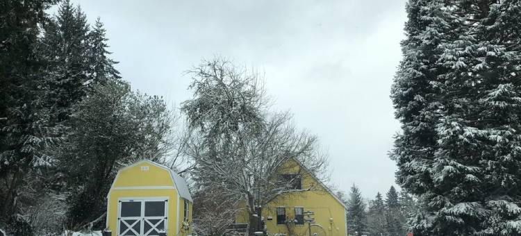 瓦雄岛迷人乡村别墅-距渡轮码头仅3分钟(Charming Vashon Island Cottage - Just 3 minutes from the ferry.)图片