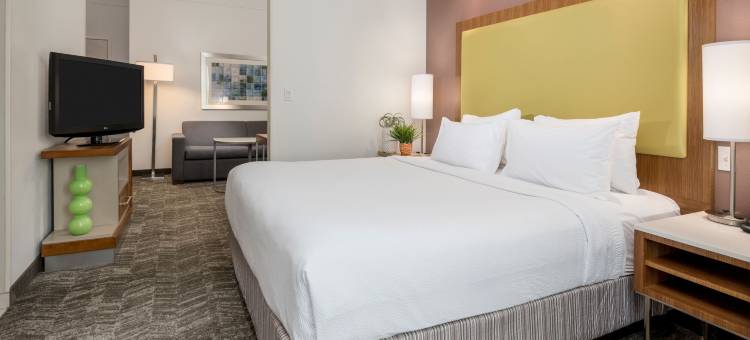 南拉斐特里弗兰奇万豪SpringHill酒店(SpringHill Suites Lafayette South at River Ranch)图片