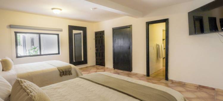 波萨达泰拉诺瓦酒店(Hotel Posada Terranova)图片