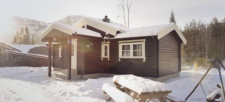 海姆瑟达尔清新家庭小屋饭店(Fresh Familie Hytte Hemsedal)图片