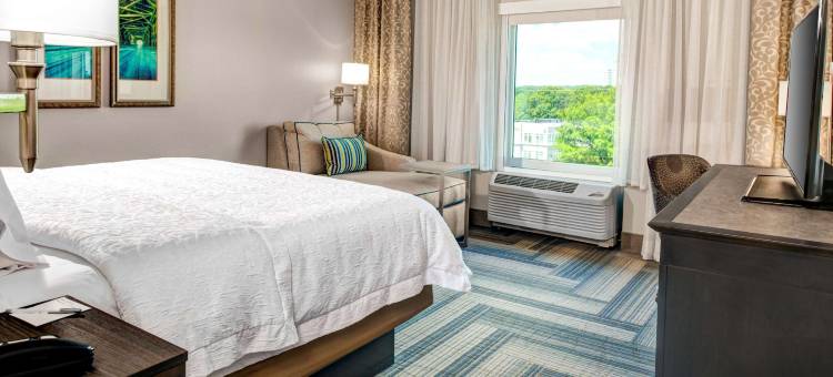 亚特兰大周界邓伍迪欢朋套房酒店(Hampton Inn & Suites Atlanta Perimeter Dunwoody)图片