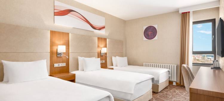 埃尔比斯坦温德姆华美达酒店(Ramada by Wyndham Elbistan)图片