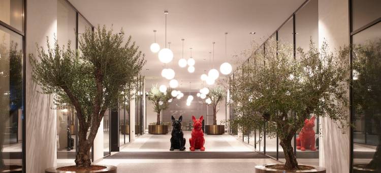 雅典城市MOXY酒店(Moxy Athens City)图片