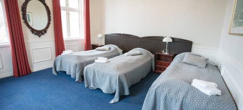 弗雷德里克斯韦尔克酒店(Hotel Frederiksværk)图片