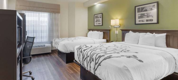 舒眠酒店(Sleep Inn)图片