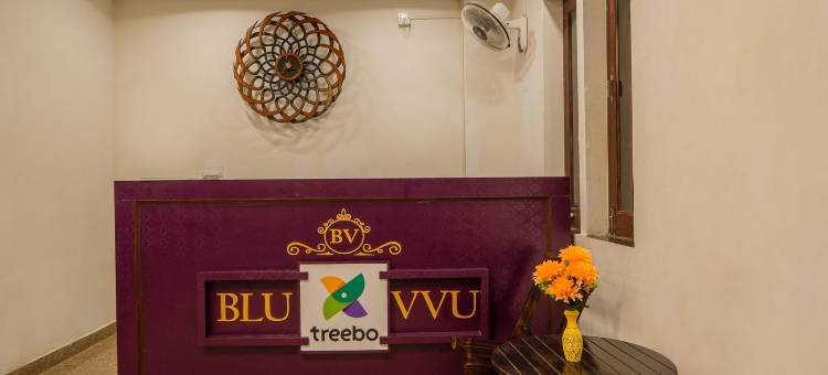 Treebo 蓝色 Vvu(Treebo Blu Vvu)图片