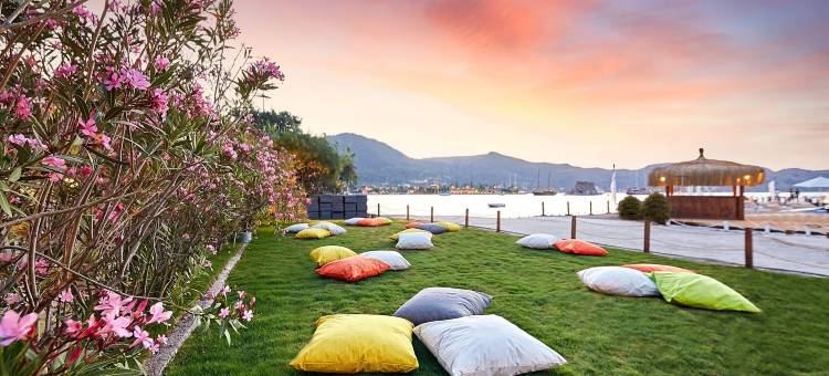 索尔托塞利米耶酒店(Fİ Light Solto Boutique Beach Hotel)图片