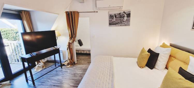莱斯塔拉斯萨莫尔温泉酒店(Hôtel Les Terrasses de Saumur)图片