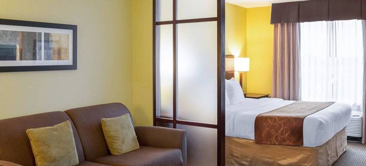 舒适套房酒店-哈维-新奥尔良西(Comfort Suites Harvey - New Orleans West)图片