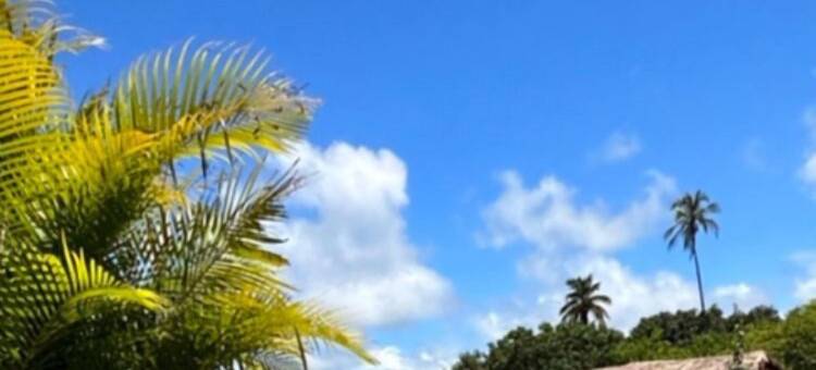 Pousada Corália酒店(Pousada Corália)图片