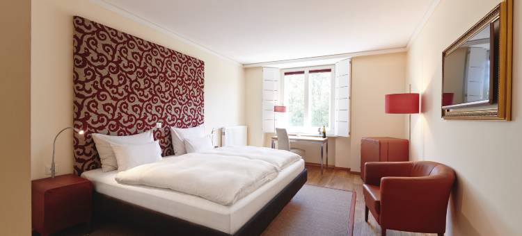 达斯维泽酒店(Hotel Weitzer Graz)图片